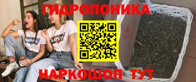 метадон Аргун